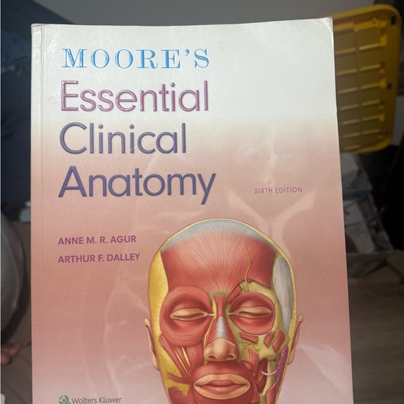 Moore's Essential Clinical Anatomy Sixth Edition - Picture 1 of 1